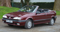 Стелки за RENAULT 19 II (D53_, 853_) Cabriolet от 1992 до 2001