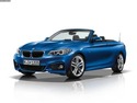 Стелки за BMW 2 Ser (F23) кабриолет от 2014