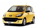 Гумени стелки за PEUGEOT 1007 (KM_) от 2005 до 2009